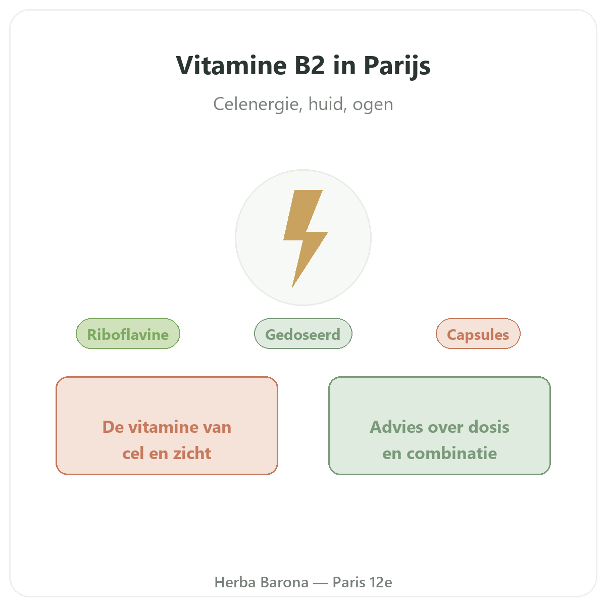 Vitamine B2 Paris Paris - presentation de la marque chez Herba Barona Paris 12e