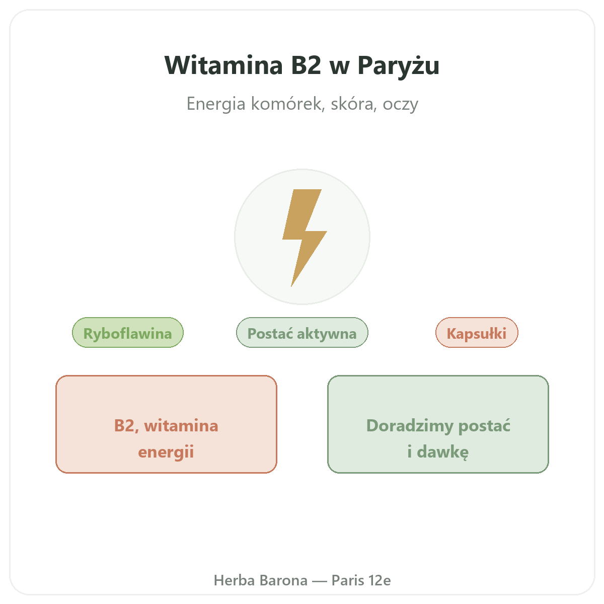 Witamina B2 Paryż - prezentacja marki w Herba Barona Paris 12e