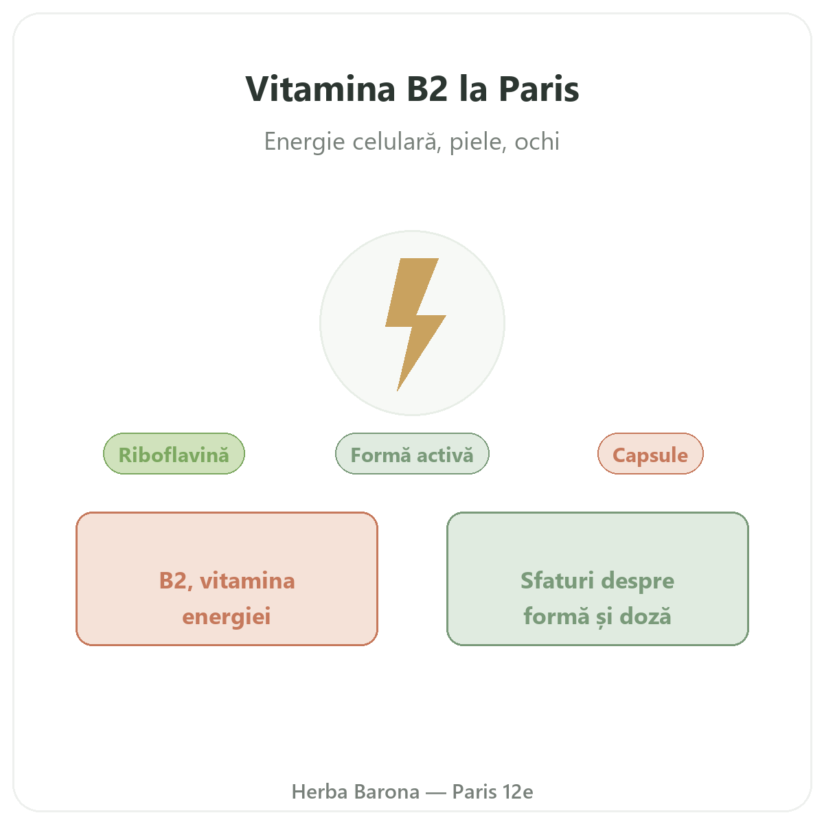 Vitamina B2 Paris - prezentarea mărcii la Herba Barona Paris, arondismentul 12