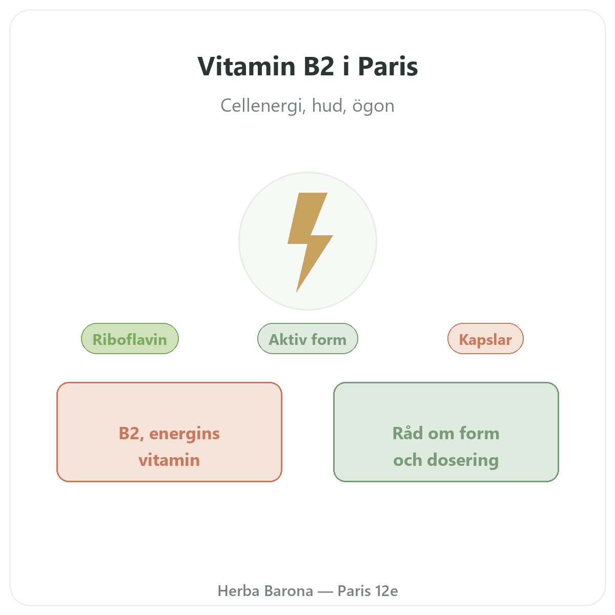Vitamin B2 Paris Paris – presentation av varumärket hos Herba Barona Paris 12e