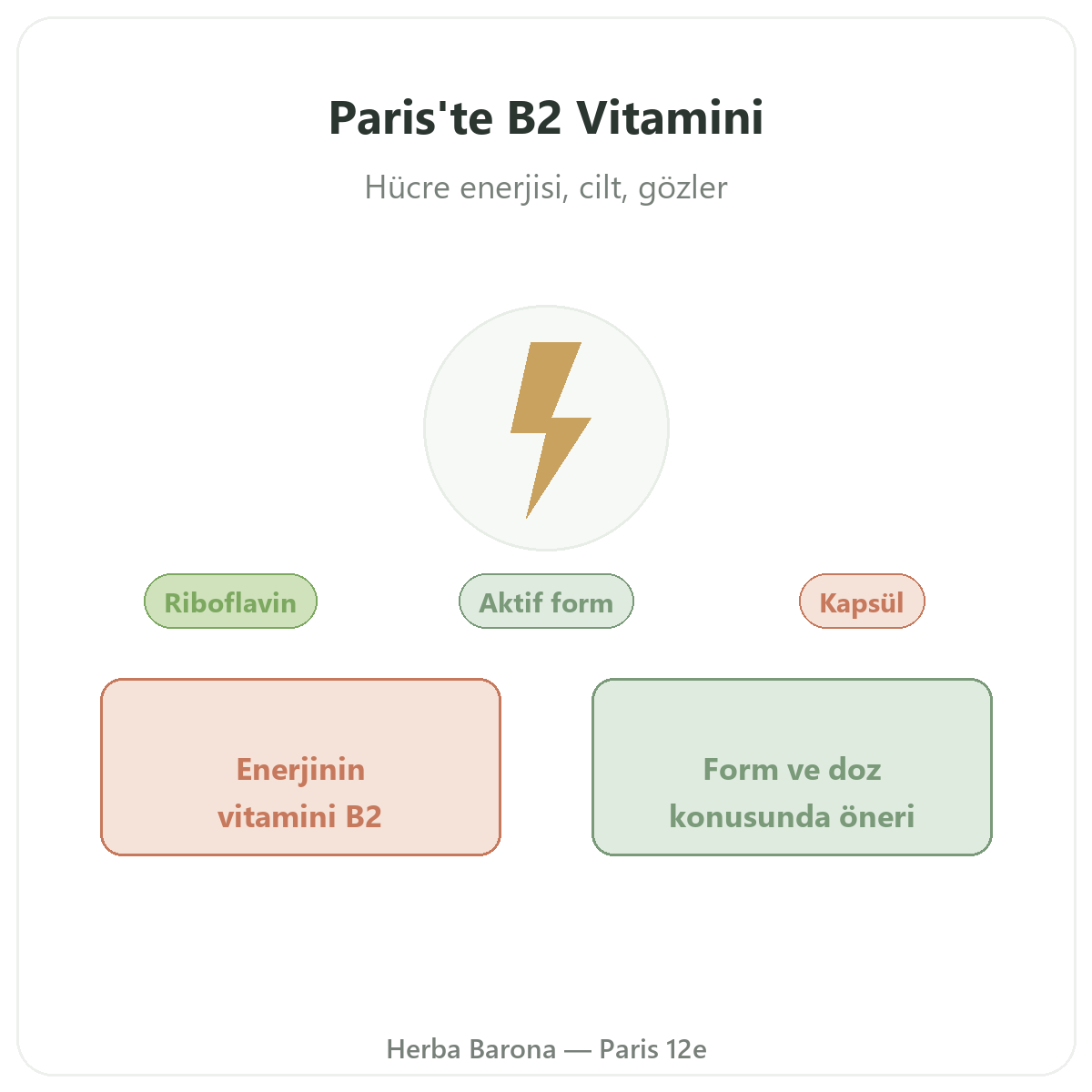 Vitamin B2 Herba Barona Paris tanıtımı