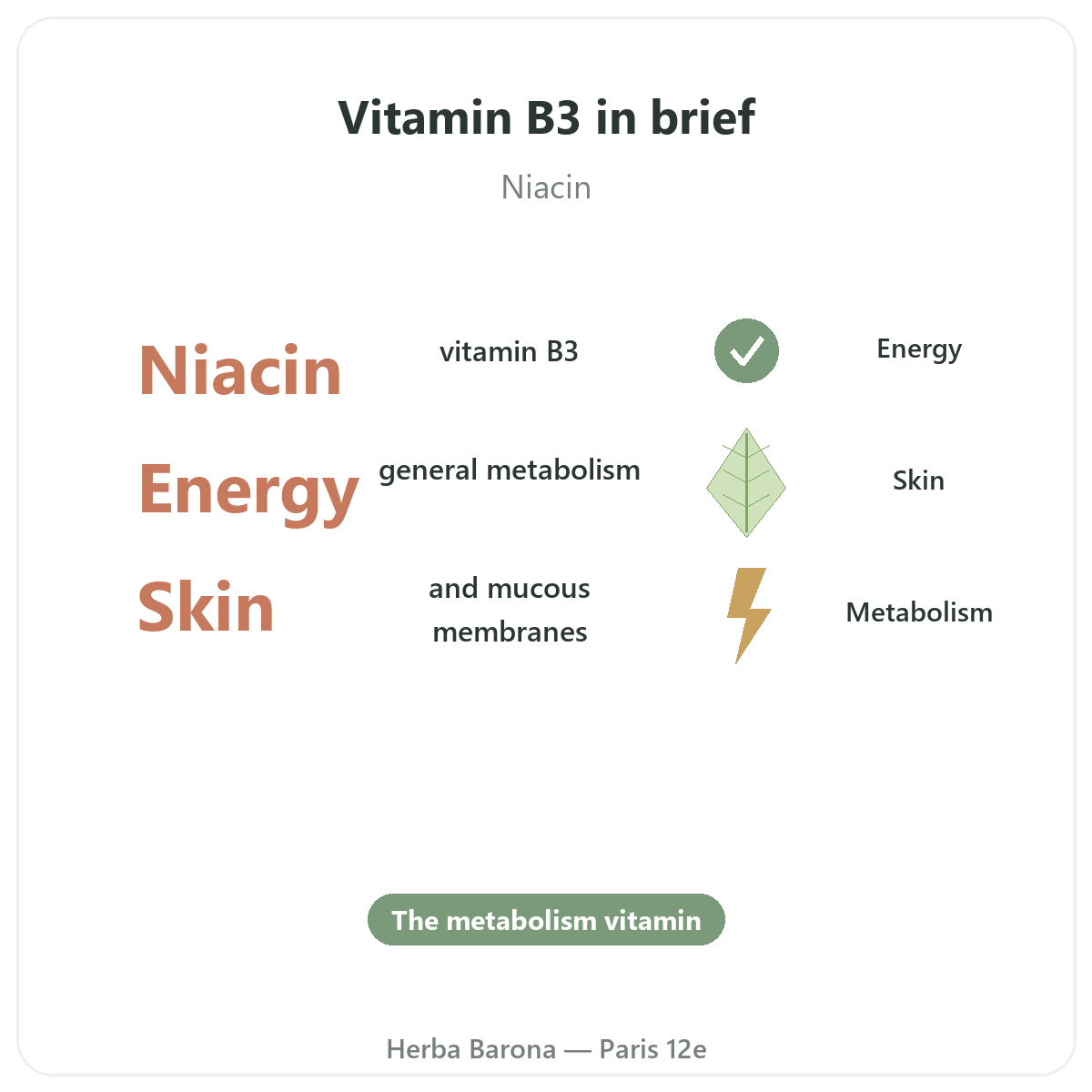 Vitamin B3 in Paris at a glance - key facts at Herba Barona Paris 12th