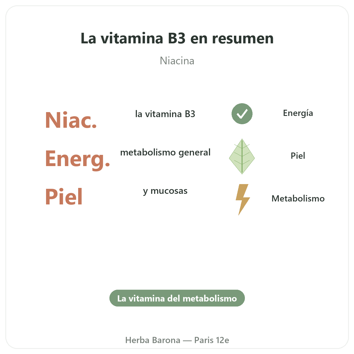 Vitamina B3 en París en breve - cifras clave en Herba Barona París 12e