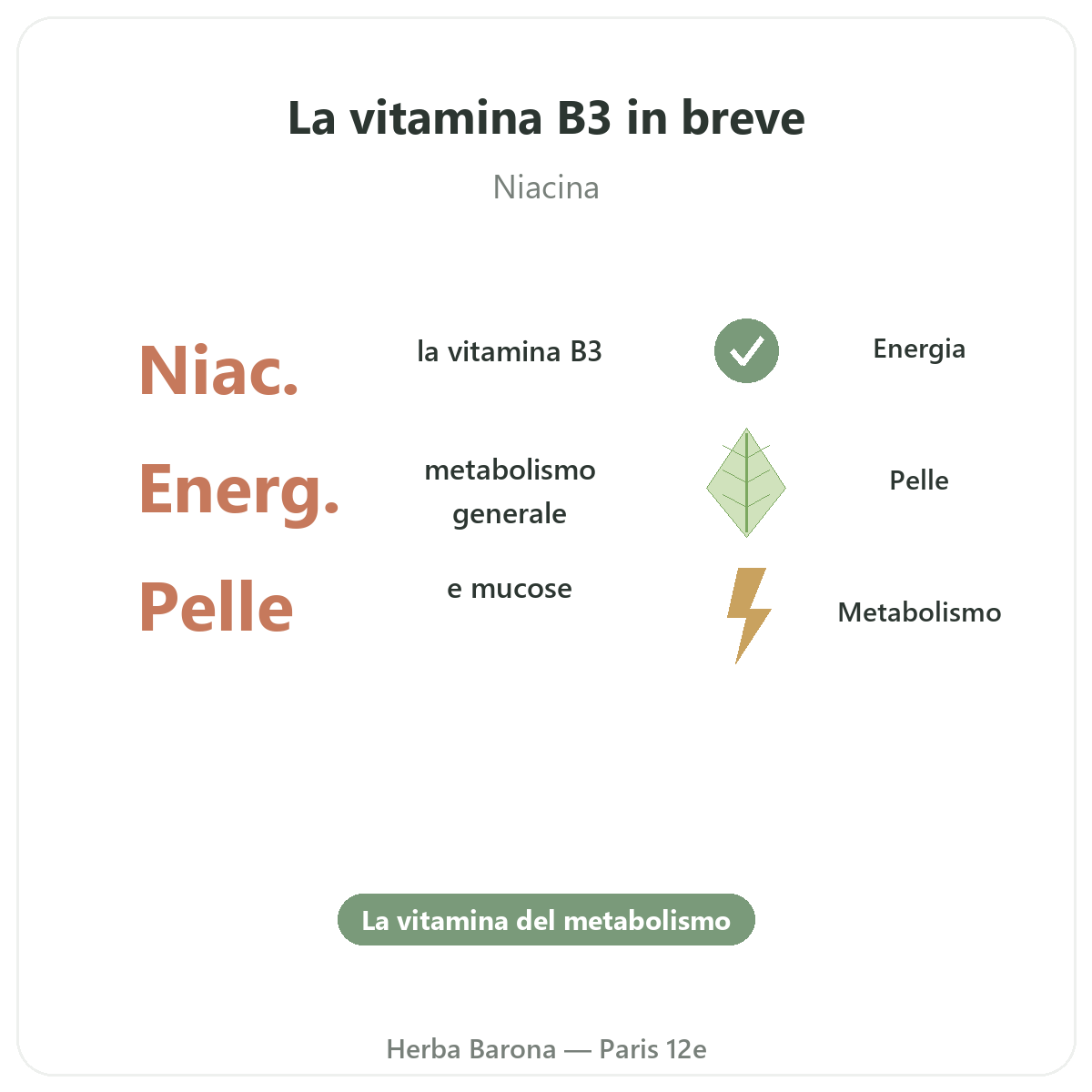 Vitamina B3 Parigi Parigi in breve - dati chiave da Herba Barona Parigi 12e
