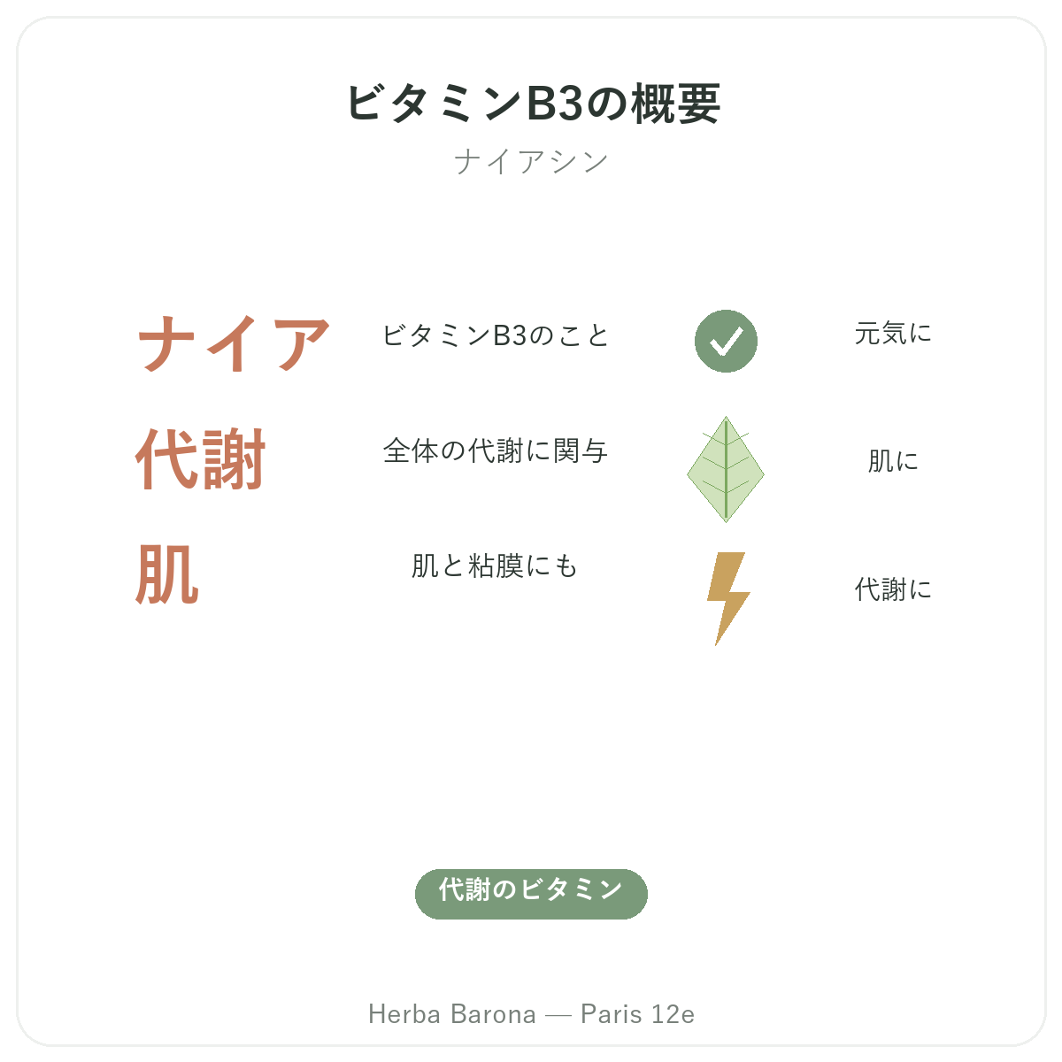 ビタミンB3 パリ の要点 - Herba Baronaの主要データ パリ12区
