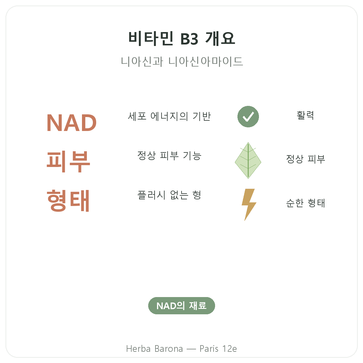 비타민 B3 파리 요약 정보 - 파리 12구 Herba Barona 주요 수치