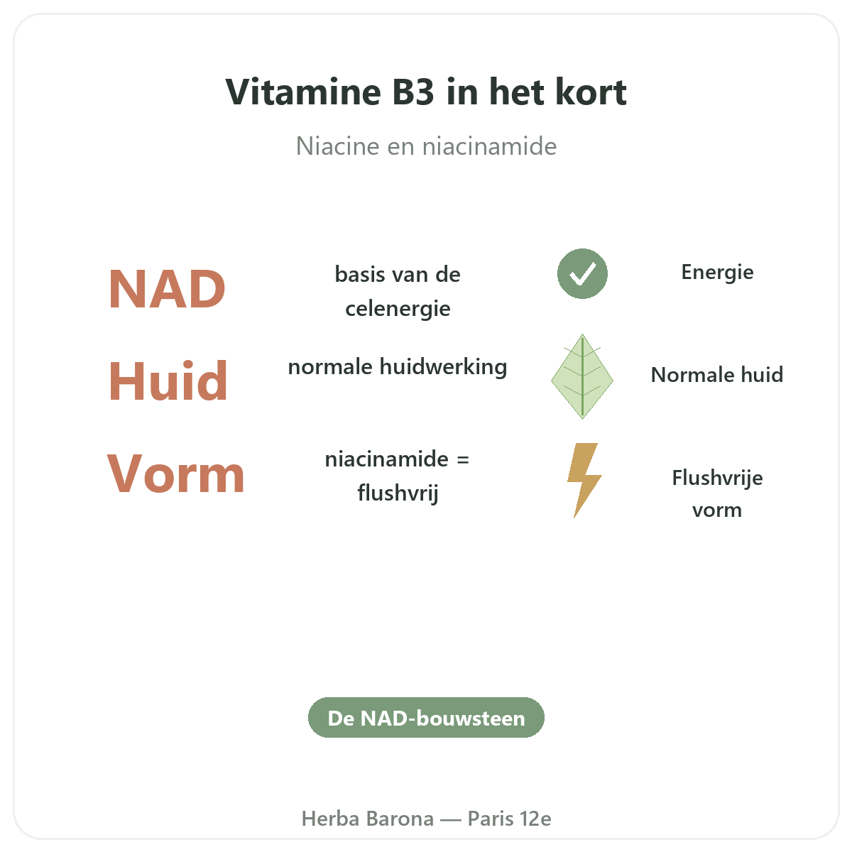 Vitamine B3 Paris Paris en bref - chiffres cles chez Herba Barona Paris 12e