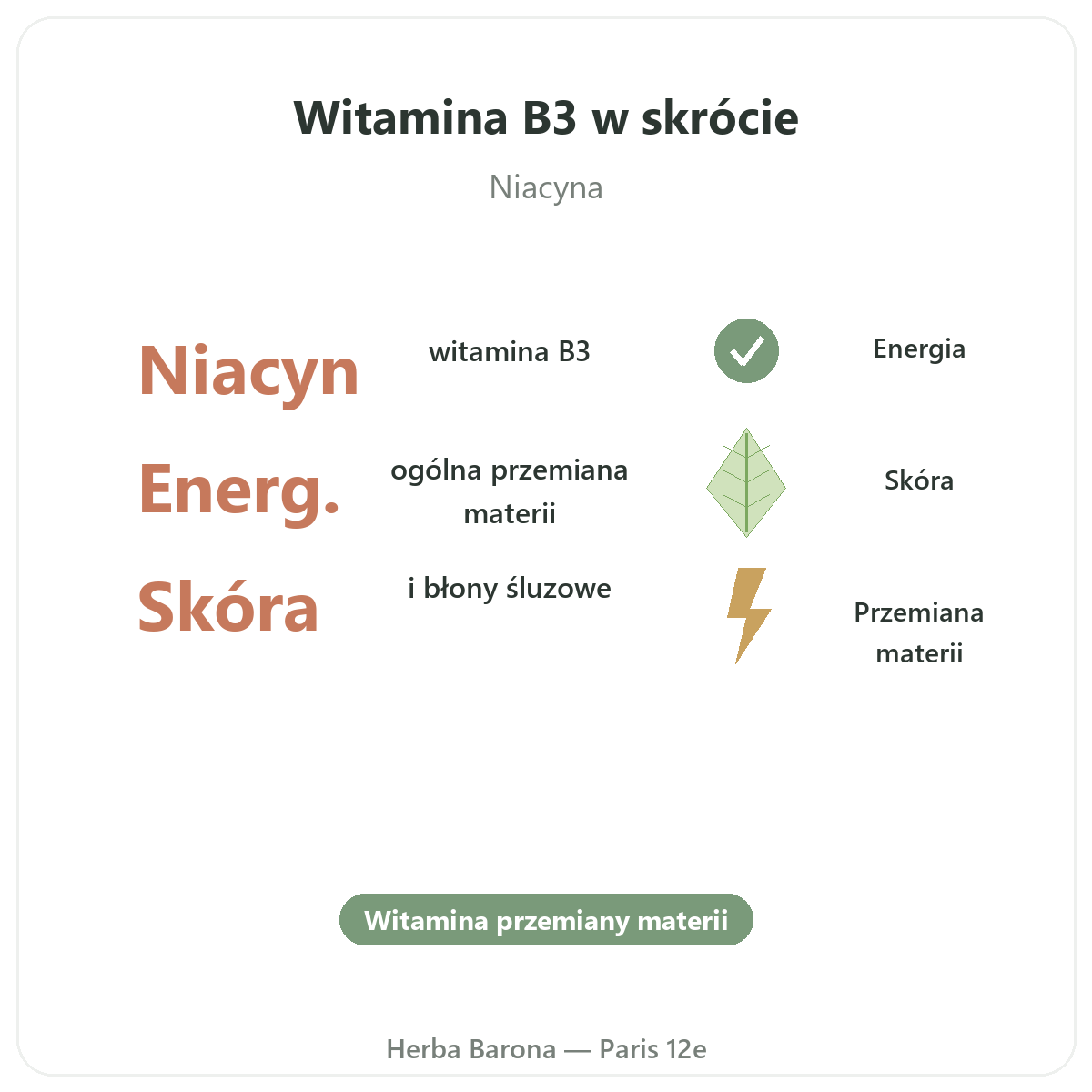 Witamina B3 w skrócie - kluczowe dane w Herba Barona - wysyłka do Polski
