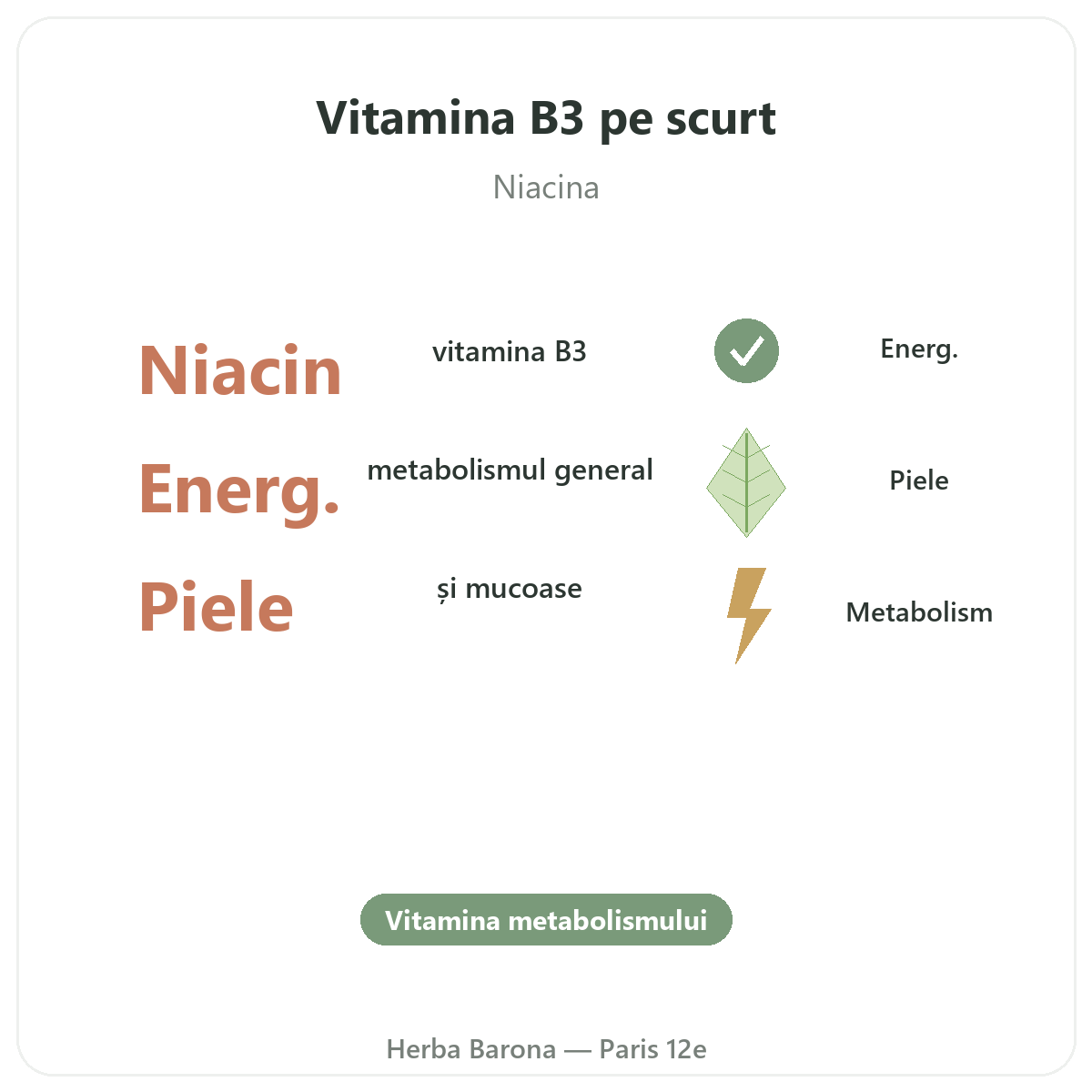Vitamina B3 Paris pe scurt - cifre cheie la Herba Barona Paris, arondismentul 12