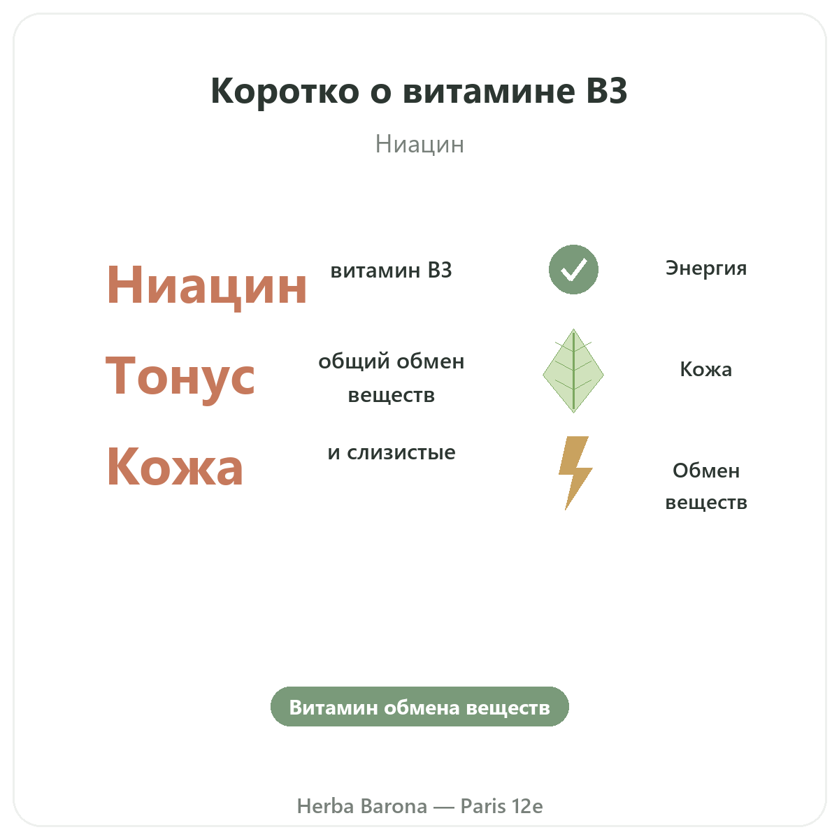 Витамин B3 Париж, Париж — кратко, ключевые цифры в Herba Barona, Париж, 12-й округ