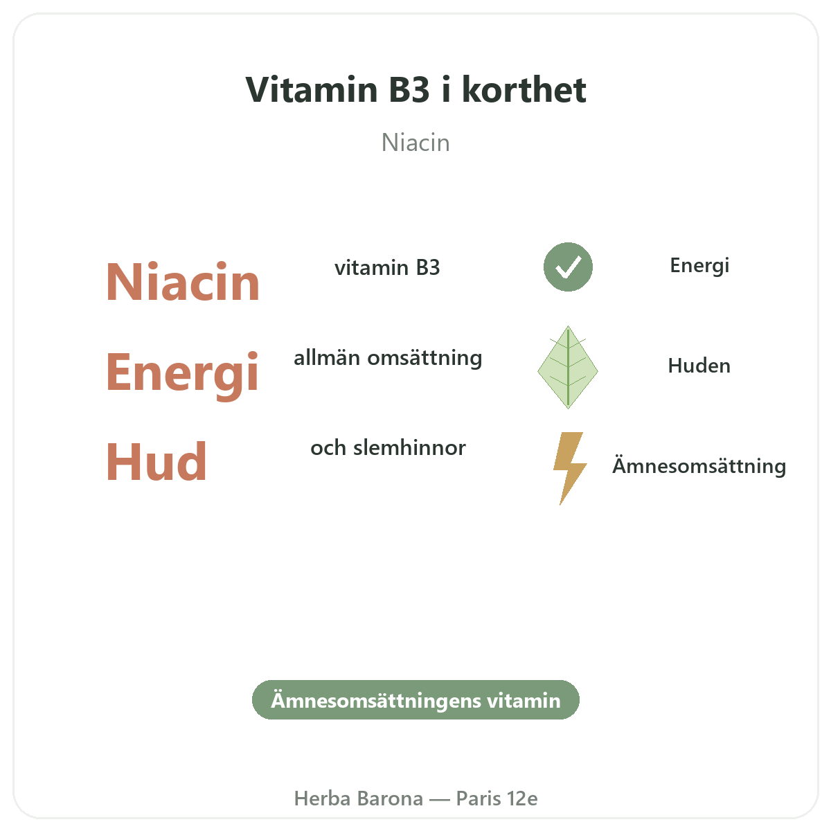 Vitamin B3 Paris Paris i korthet – nyckeltal hos Herba Barona Paris 12e