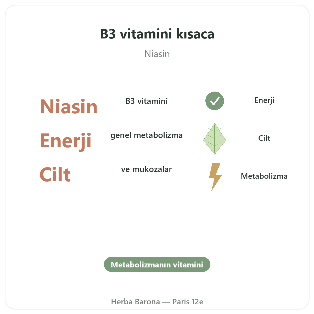 Vitamin B3 Herba Barona Paris kısaca - önemli rakamlar