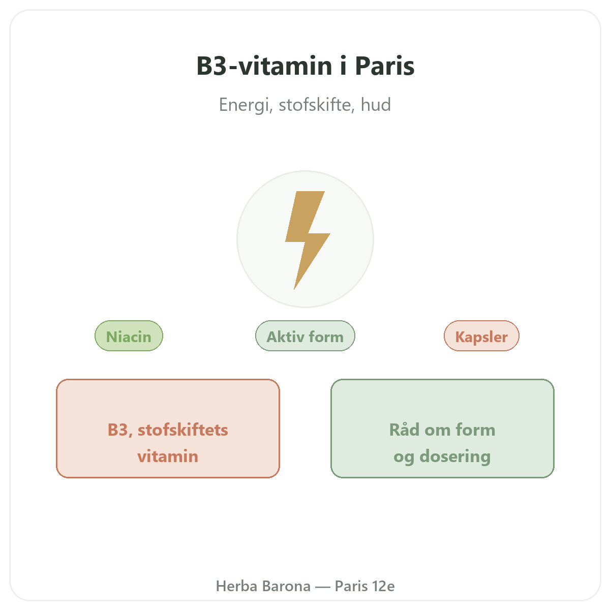 Vitamin B3 Paris Paris - præsentation af mærket hos Herba Barona Paris 12