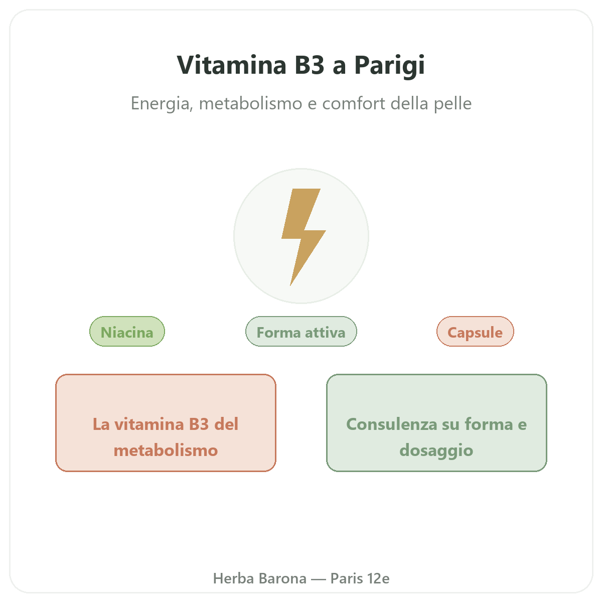 Vitamina B3 Parigi Parigi - presentazione del marchio da Herba Barona Parigi 12e