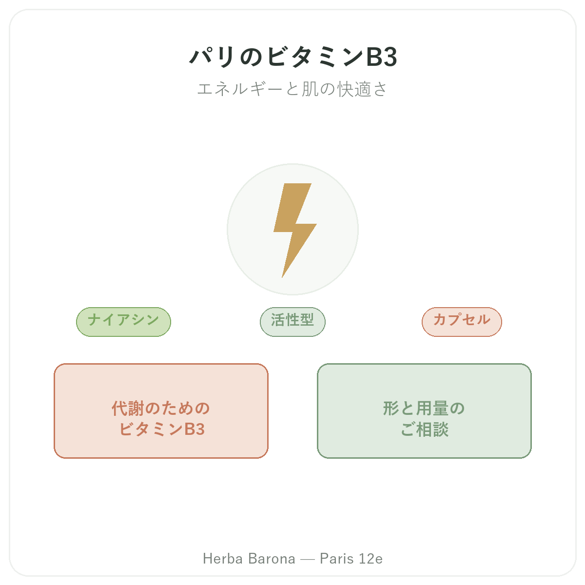 ビタミンB3 パリ - Herba Baronaのブランド紹介 パリ12区