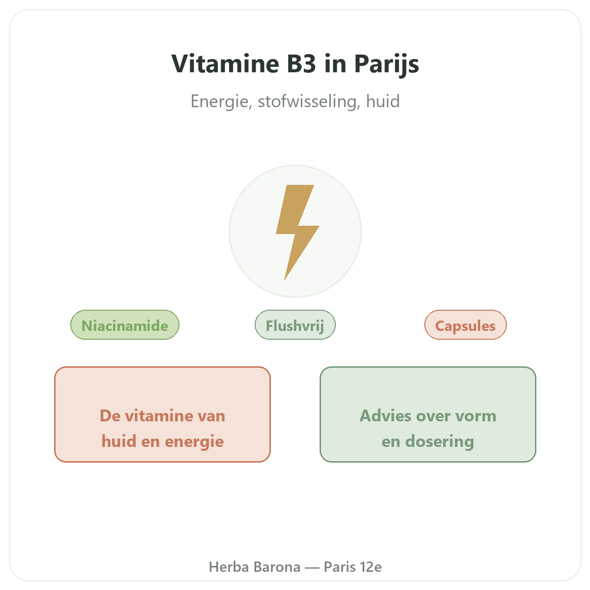 Vitamine B3 Paris Paris - presentation de la marque chez Herba Barona Paris 12e