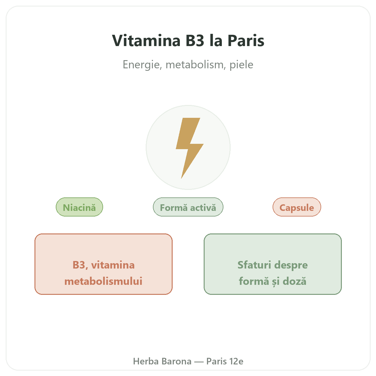 Vitamina B3 Paris - prezentarea mărcii la Herba Barona Paris, arondismentul 12