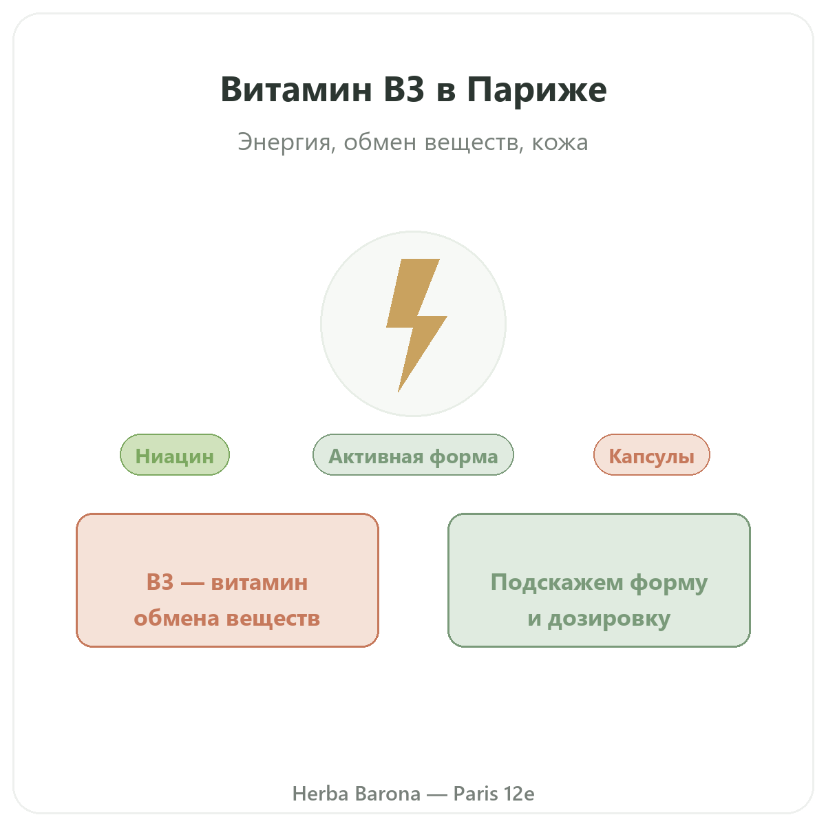 Витамин B3 Париж, Париж — презентация бренда в Herba Barona, Париж, 12-й округ