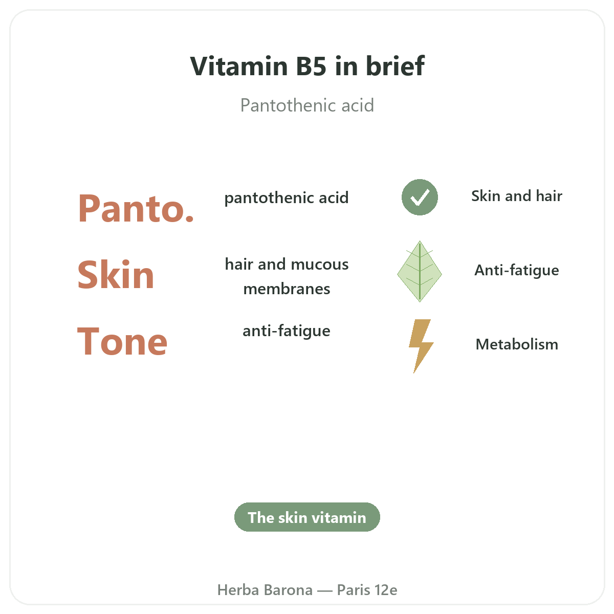 Vitamin B5 in Paris at a glance - key facts at Herba Barona Paris 12th