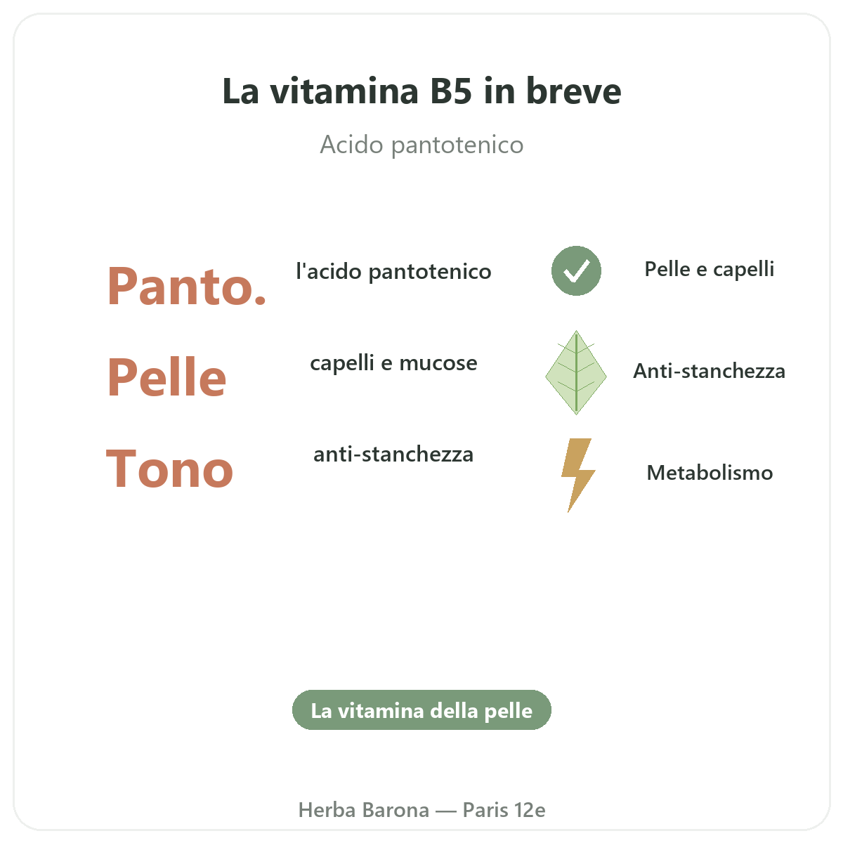 Vitamina B5 Parigi Parigi in breve - dati chiave da Herba Barona Parigi 12e