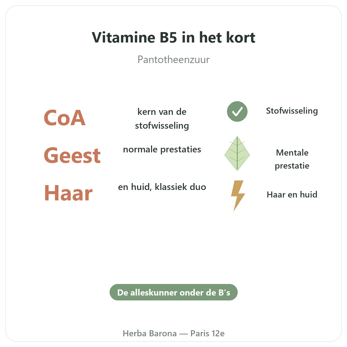 Vitamine B5 Paris Paris en bref - chiffres cles chez Herba Barona Paris 12e