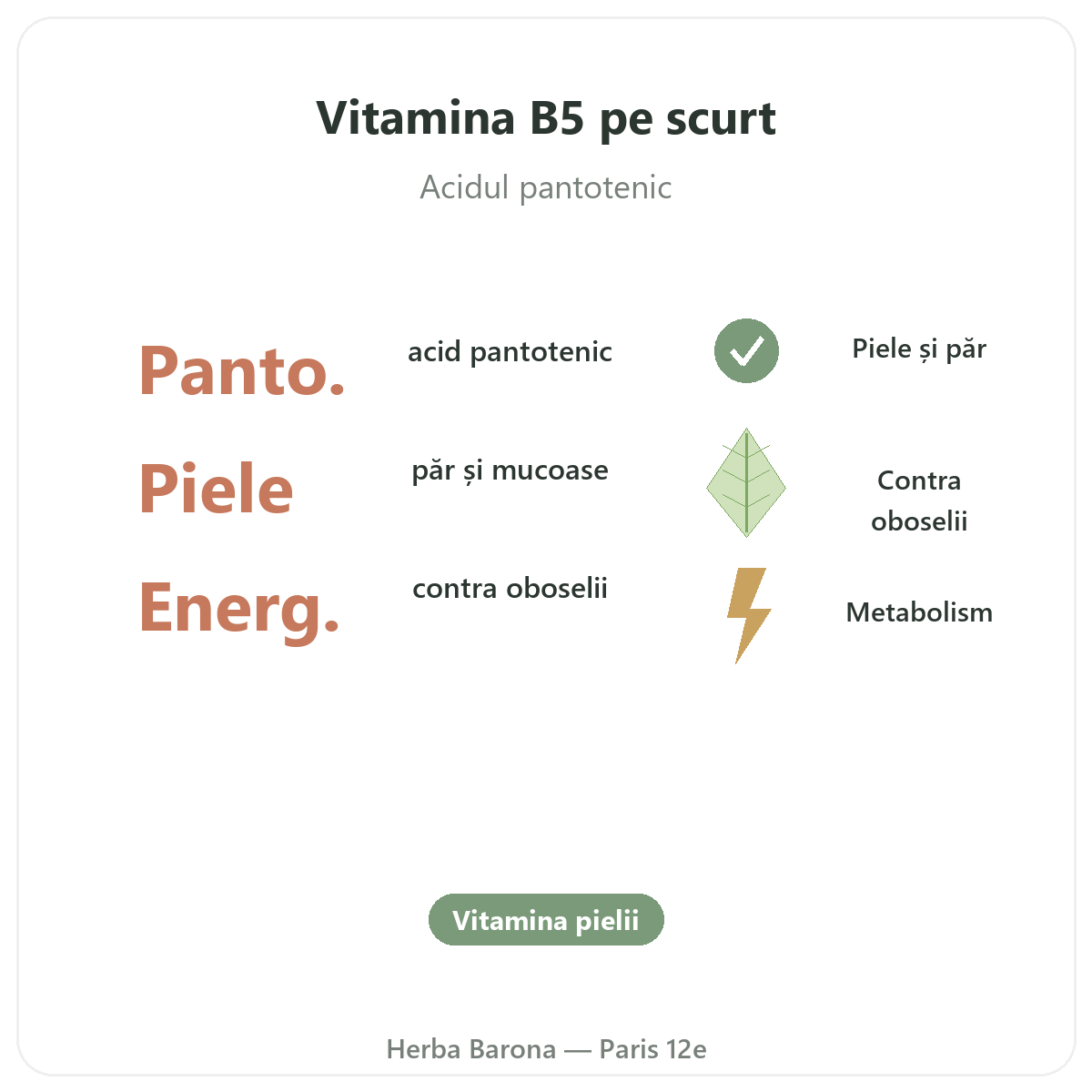 Vitamina B5 Paris pe scurt - cifre cheie la Herba Barona Paris, arondismentul 12
