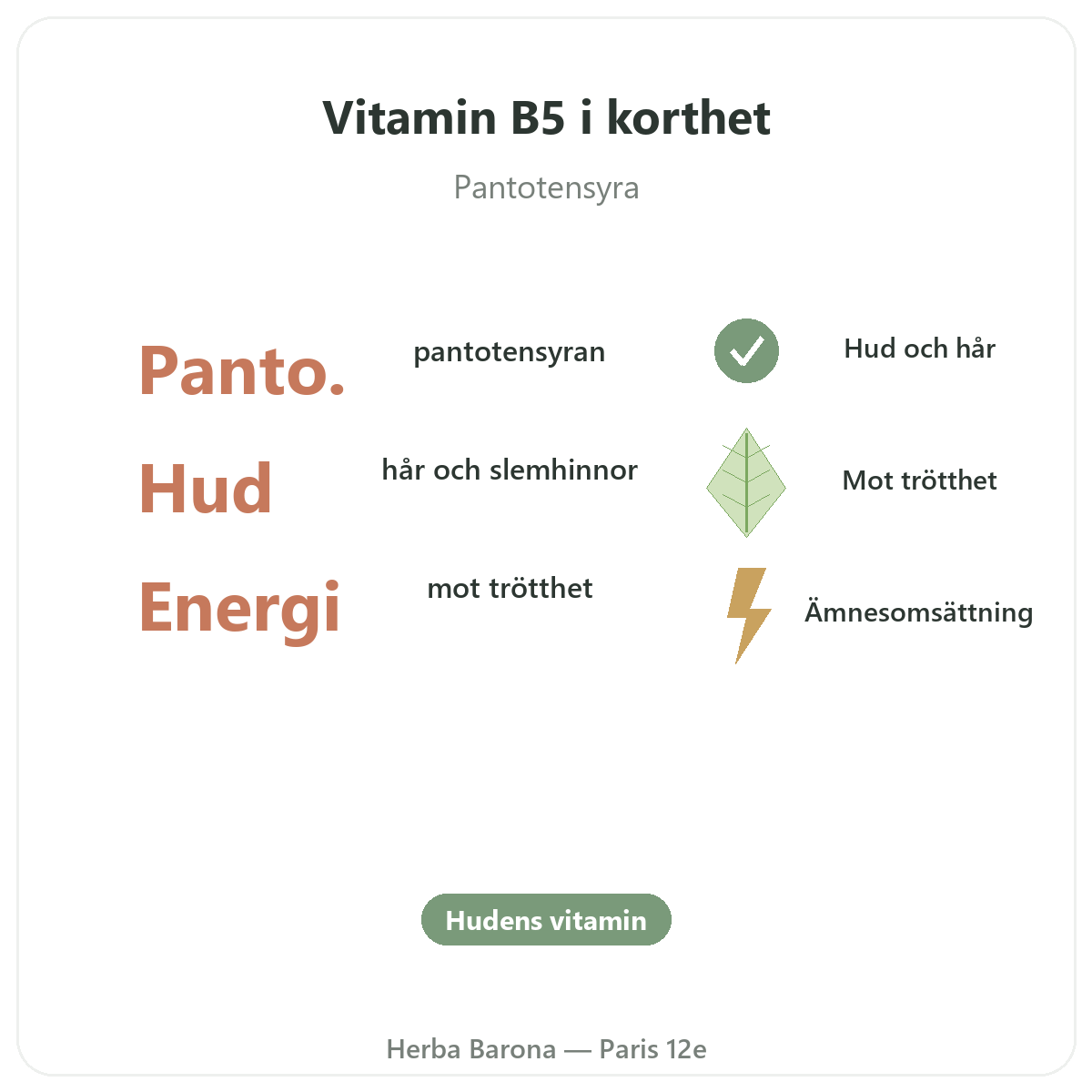 Vitamin B5 Paris Paris i korthet – nyckeltal hos Herba Barona Paris 12e