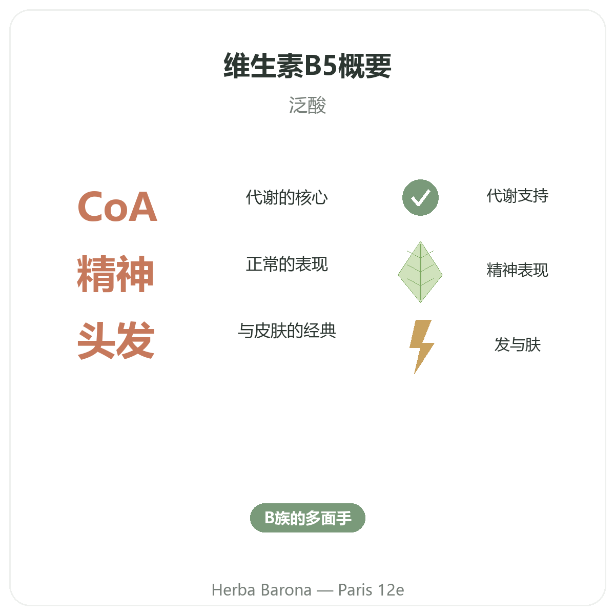 维生素B5 巴黎概览 - Herba Barona 巴黎12区门店重要数据