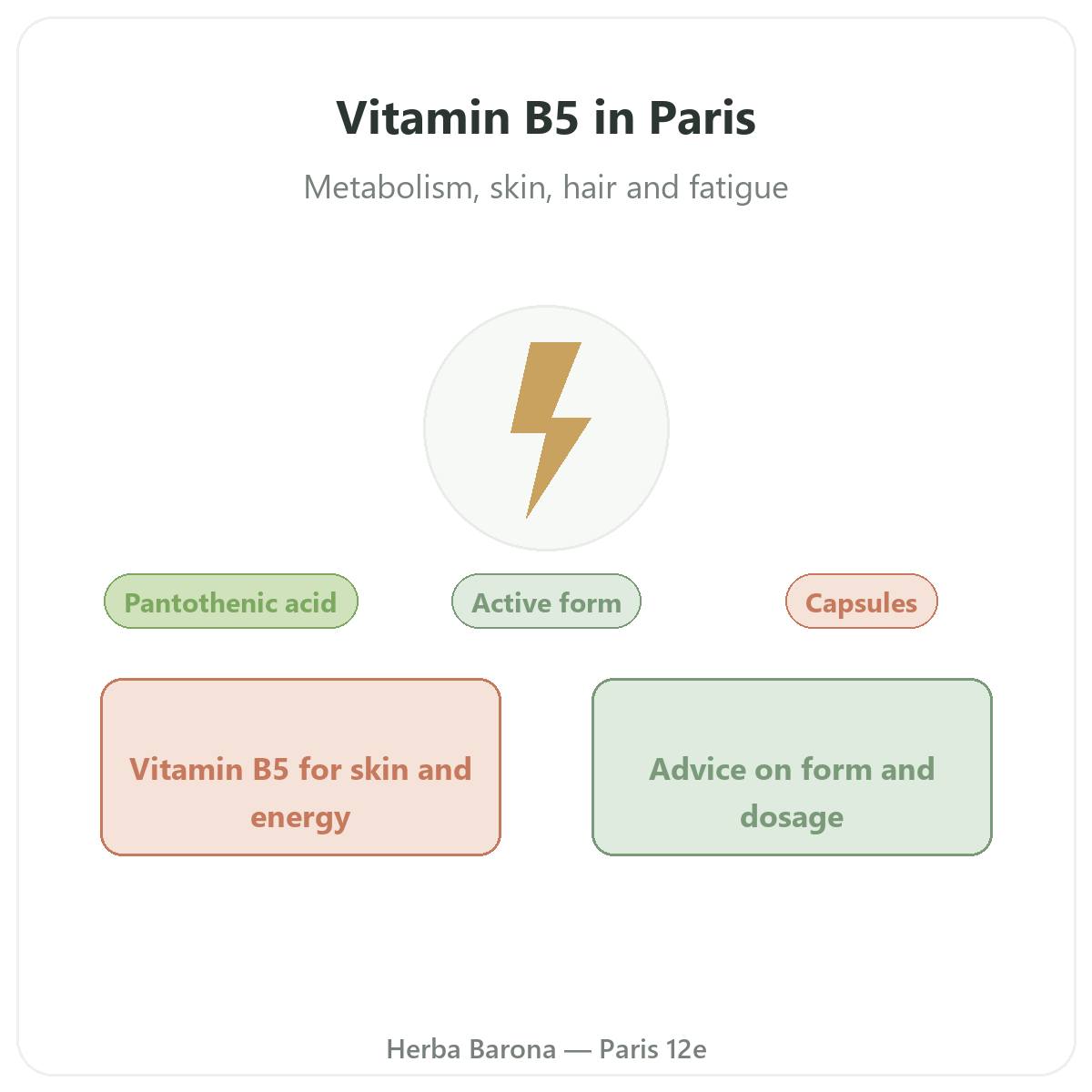 Vitamin B5 in Paris - brand overview at Herba Barona Paris 12th
