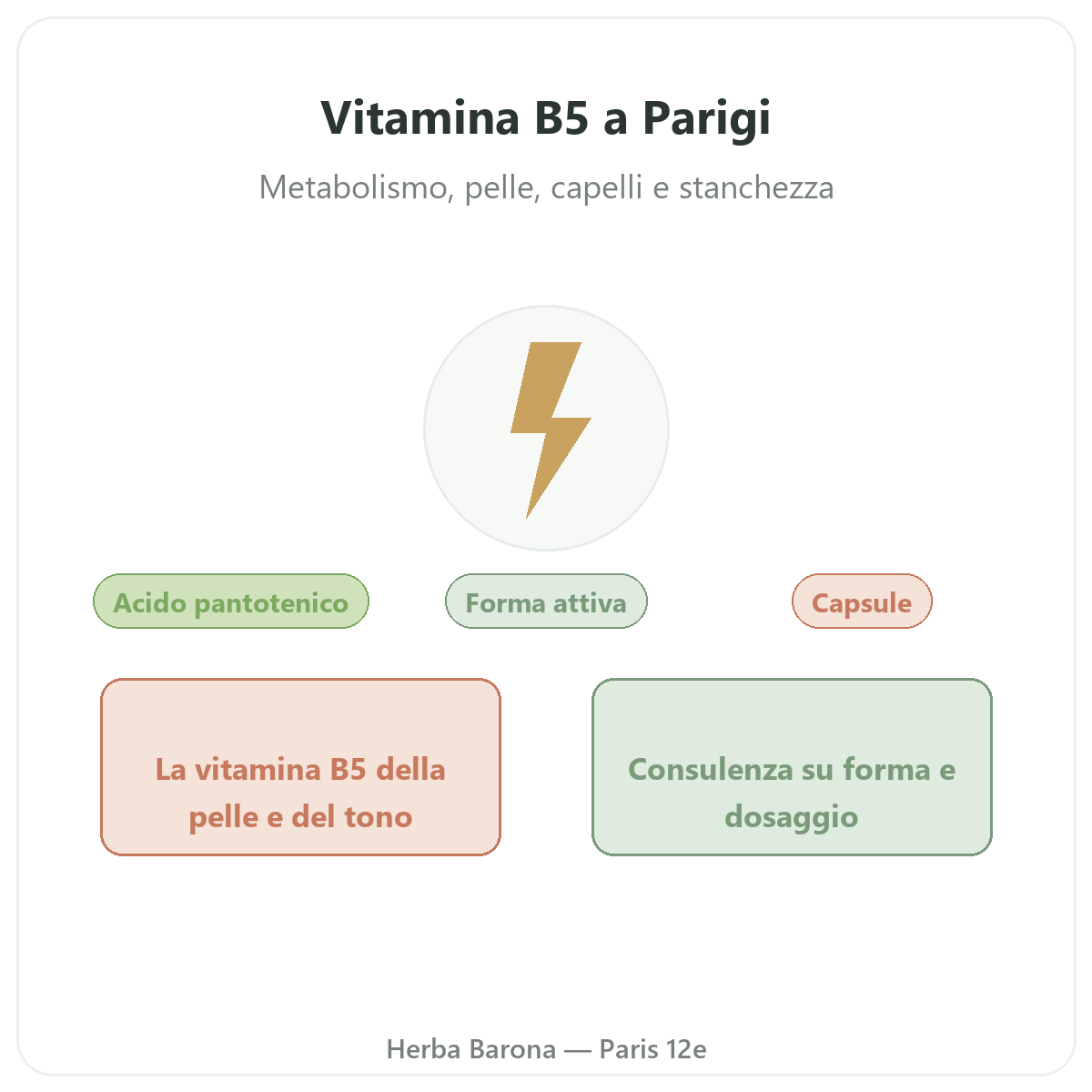 Vitamina B5 Parigi Parigi - presentazione del marchio da Herba Barona Parigi 12e