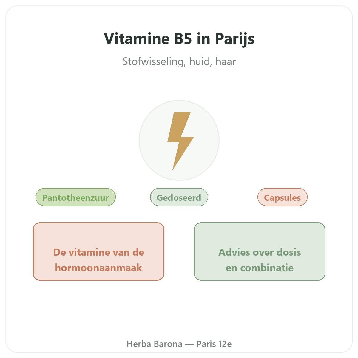 Vitamine B5 Paris Paris - presentation de la marque chez Herba Barona Paris 12e