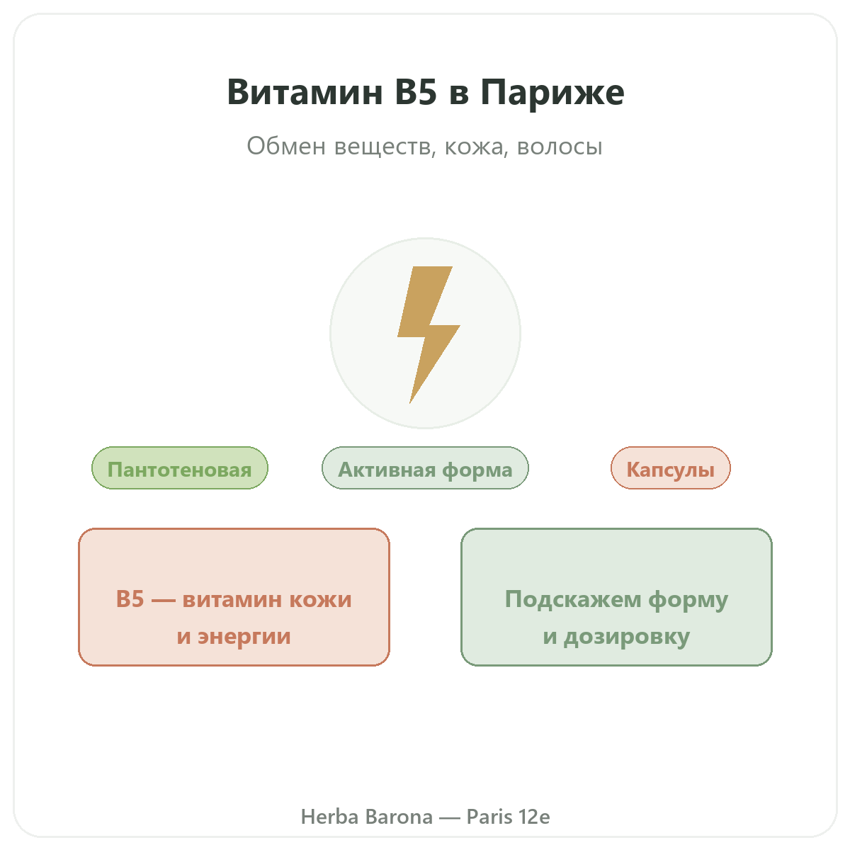 Витамин B5 Париж, Париж — презентация бренда в Herba Barona, Париж, 12-й округ