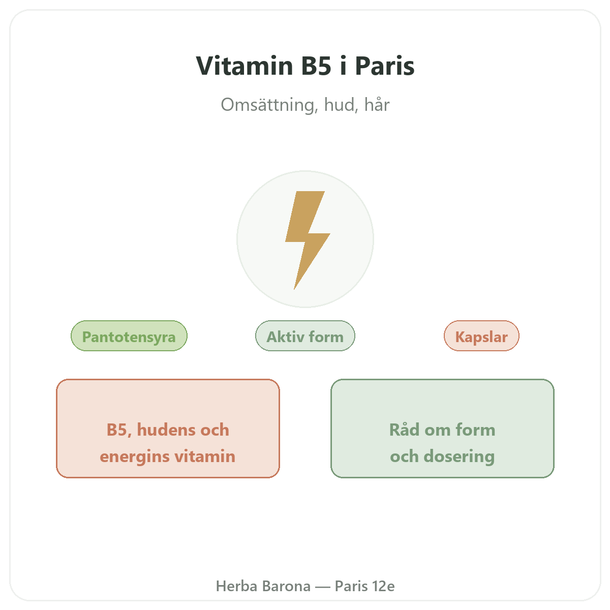 Vitamin B5 Paris Paris – presentation av varumärket hos Herba Barona Paris 12e