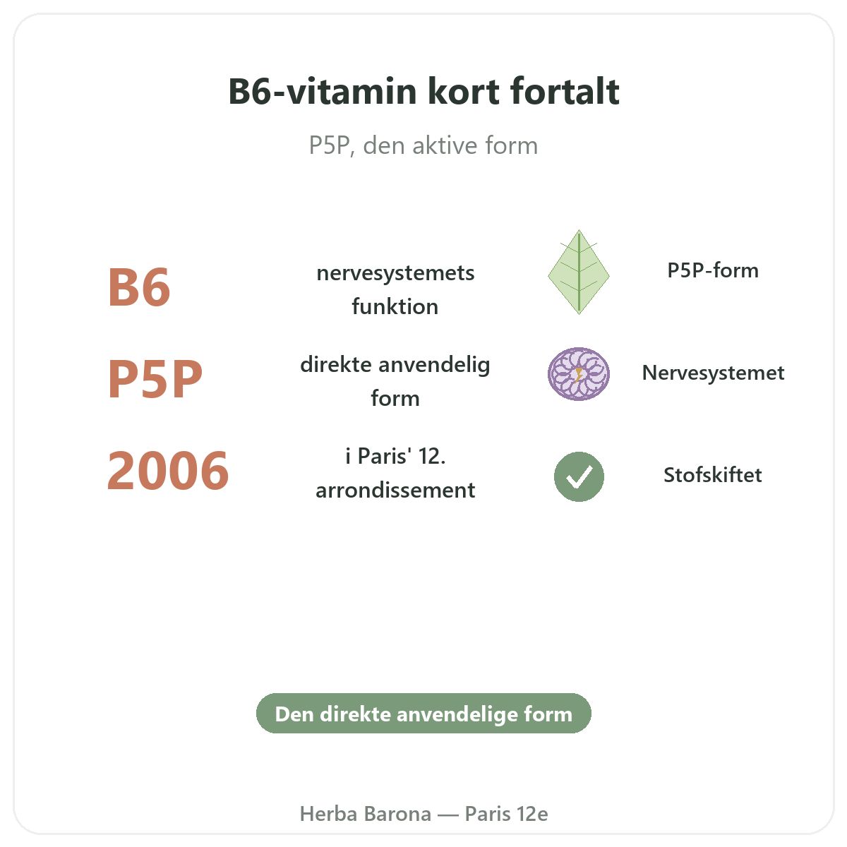 Vitamin B6 Paris Paris i korte træk - nøgletal hos Herba Barona Paris 12