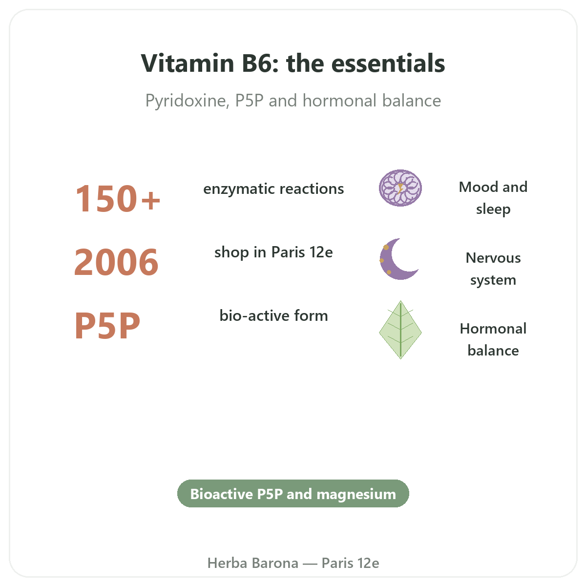 Vitamin B6 in Paris at a glance - key facts at Herba Barona Paris 12th