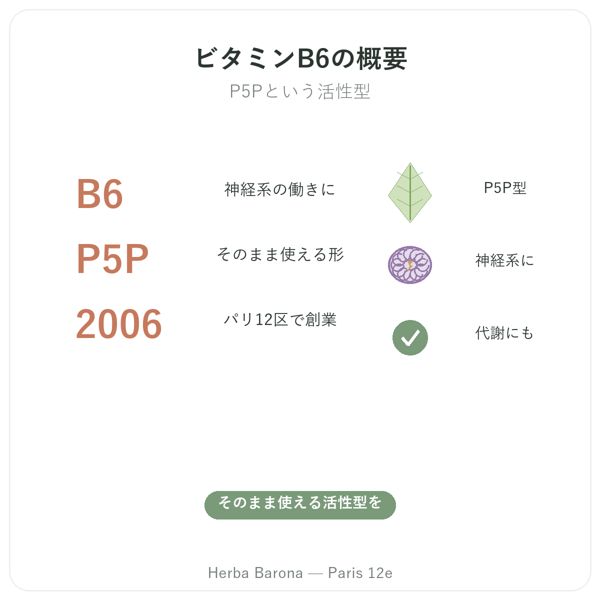 ビタミンB6 パリ 早わかり - Herba Baronaの主要データ パリ12区