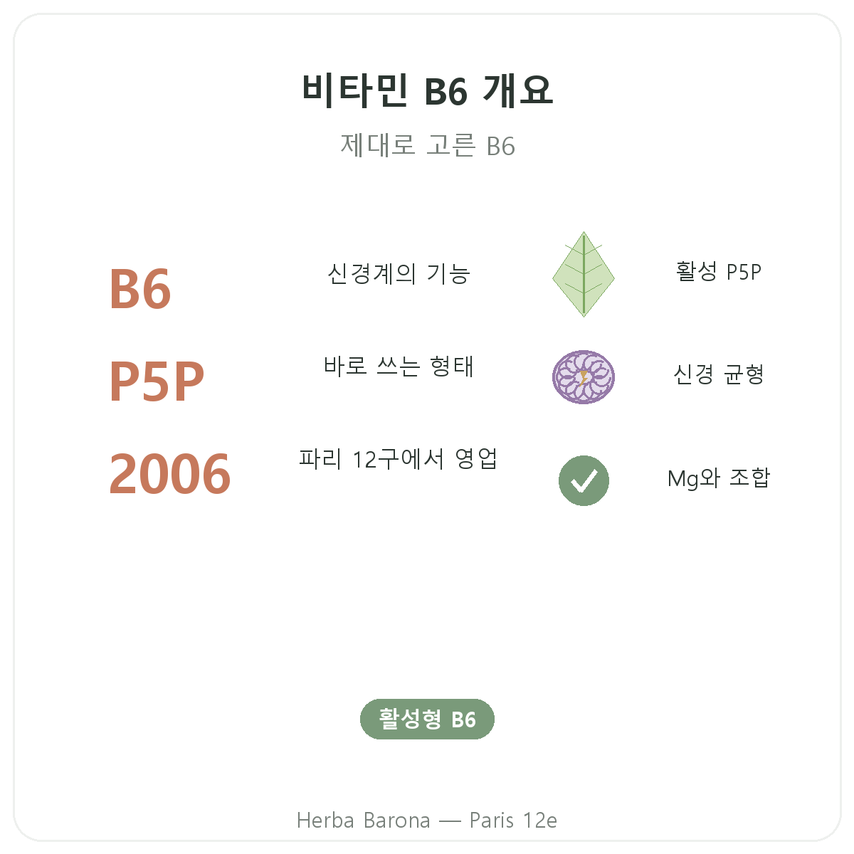 비타민 B6 파리 요약 정보 - 파리 12구 Herba Barona 주요 수치