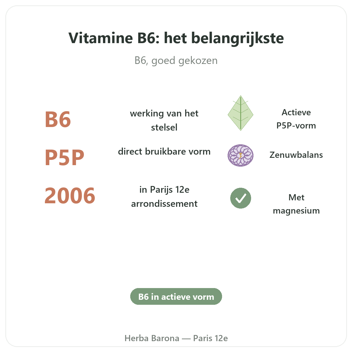 Vitamine B6 Parijs in het kort - kerncijfers bij Herba Barona Parijs 12e