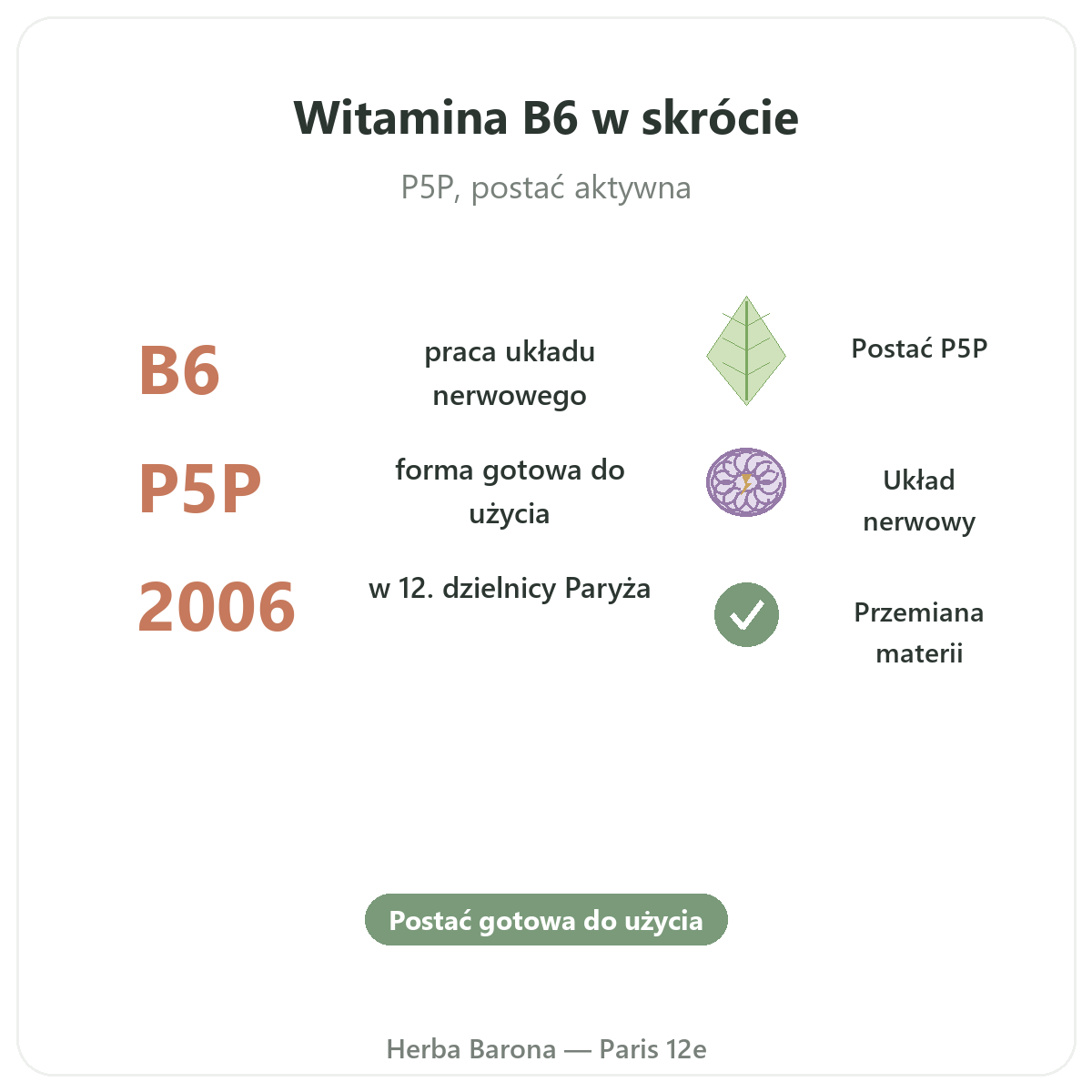 Witamina B6 Paryż w skrócie - najważniejsze liczby w Herba Barona Paris 12e