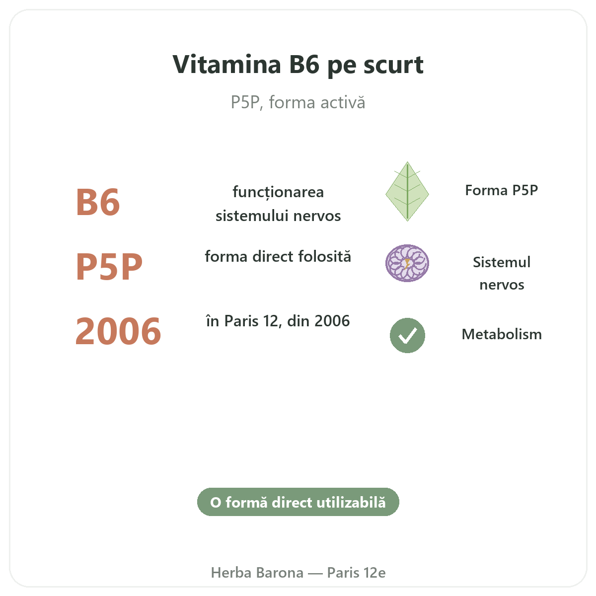 Vitamina B6 Paris pe scurt - cifre cheie la Herba Barona Paris, arondismentul 12