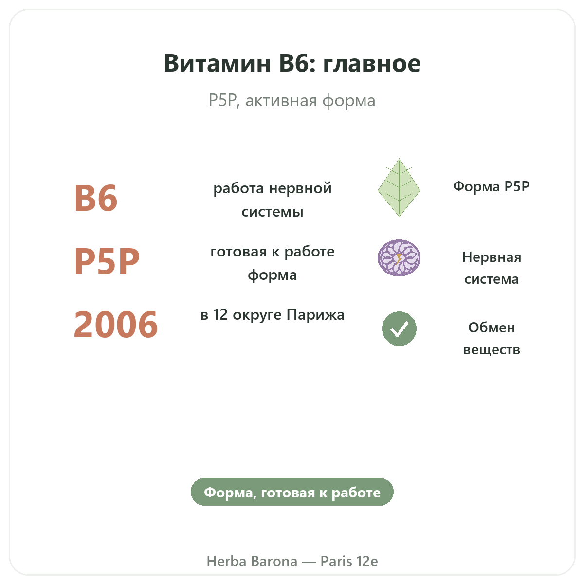 Витамин B6 Париж, Париж — кратко, ключевые цифры в Herba Barona, Париж, 12-й округ