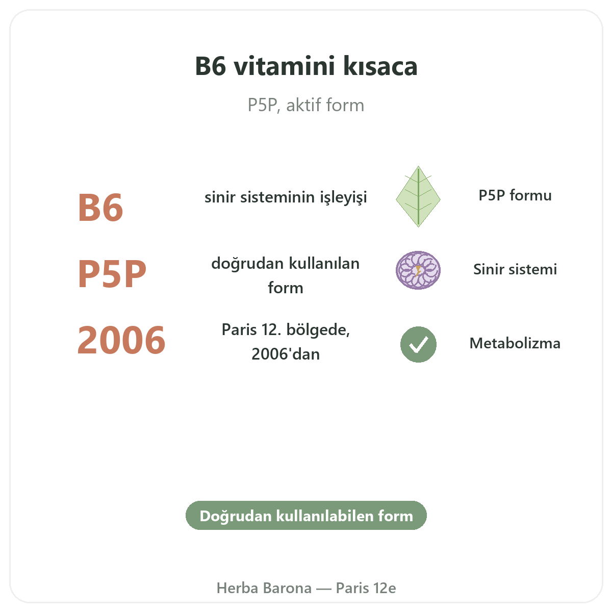 Vitamin B6 Herba Barona Paris kısaca - önemli rakamlar