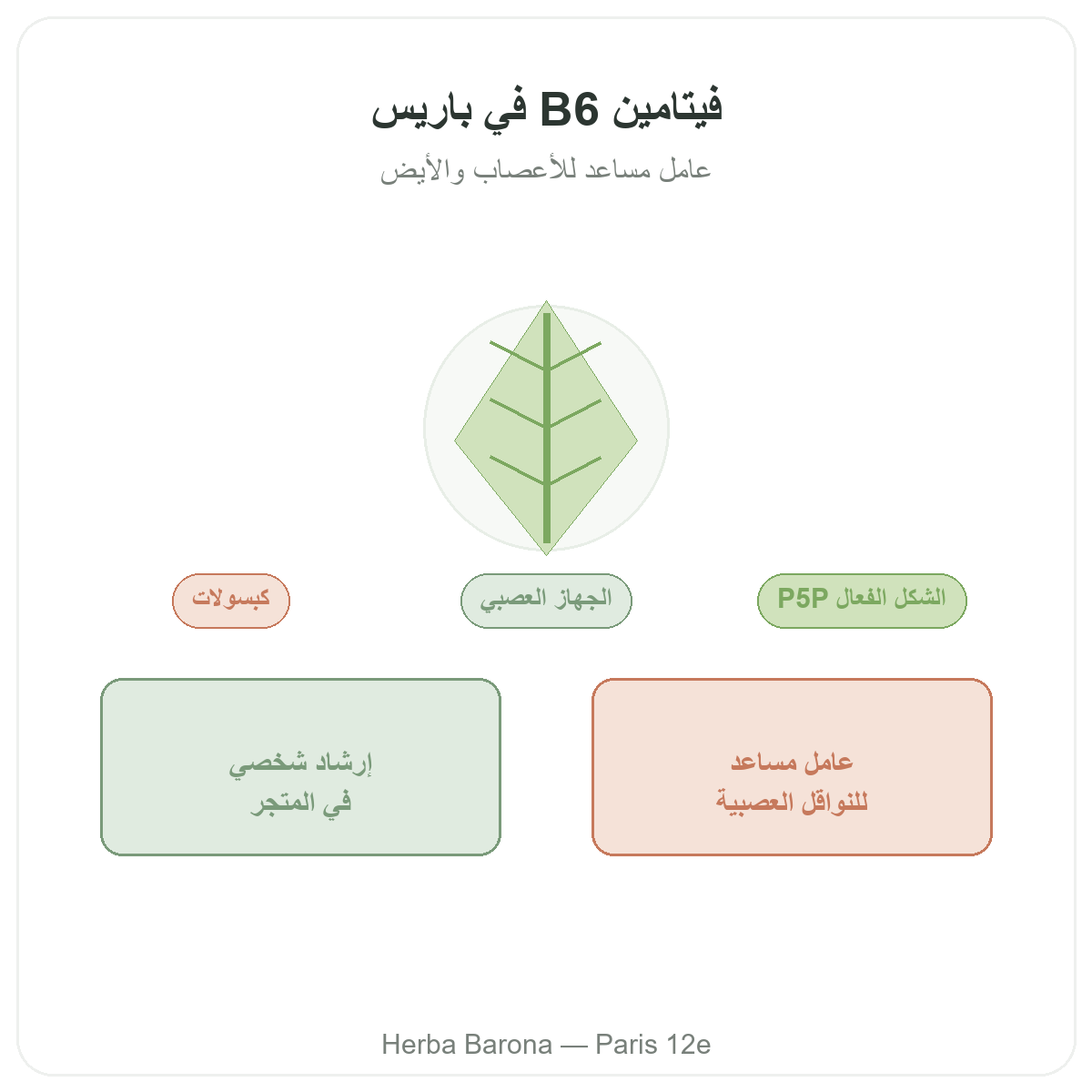 Vitamine B6 Paris Paris - presentation de la marque chez Herba Barona Paris 12e