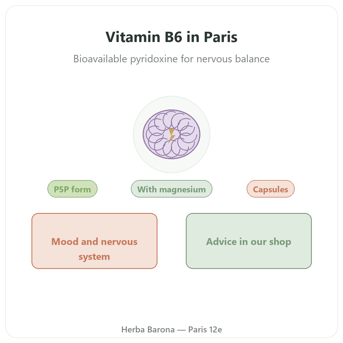 Vitamin B6 in Paris - brand overview at Herba Barona Paris 12th