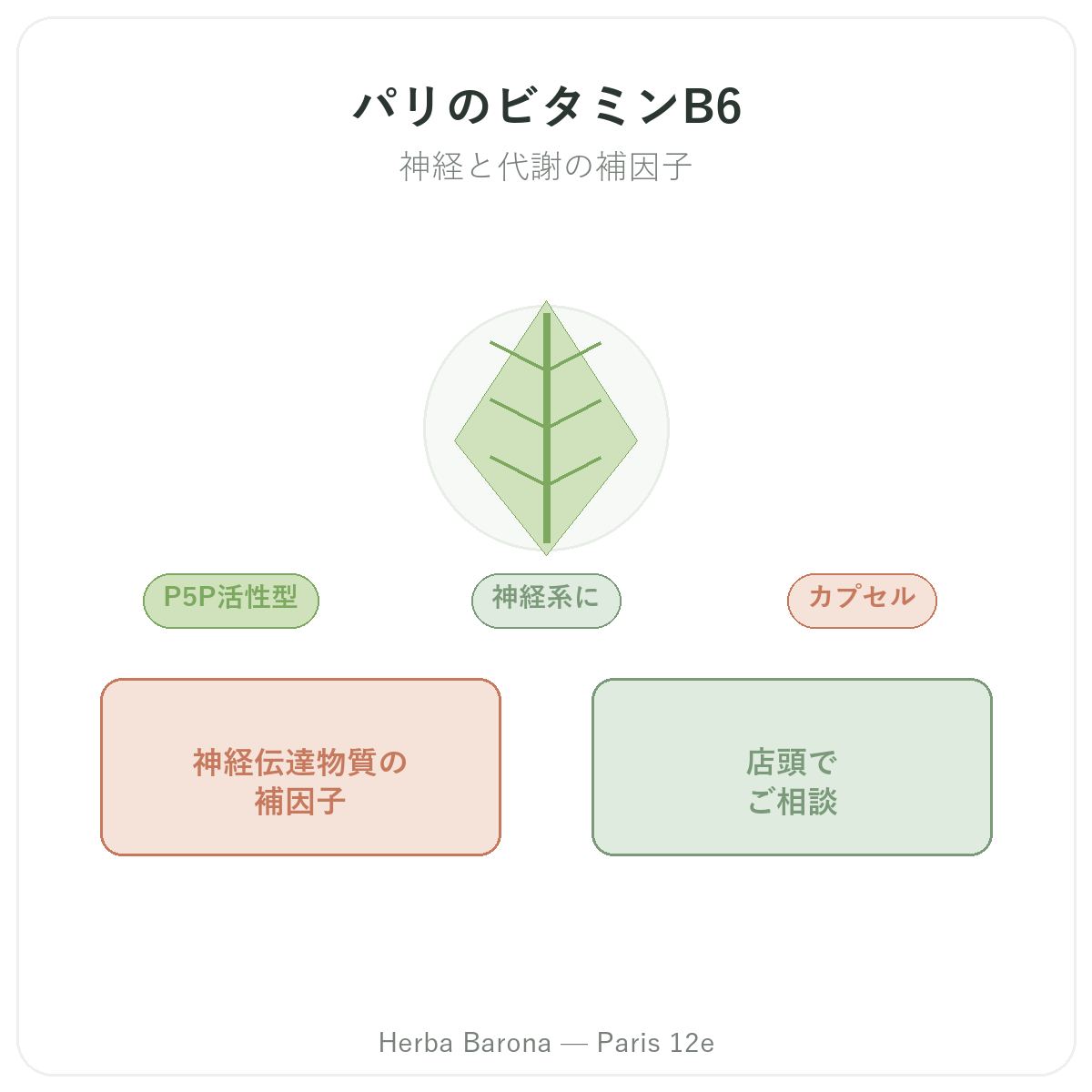 ビタミンB6 パリ - Herba Baronaのブランド紹介 パリ12区