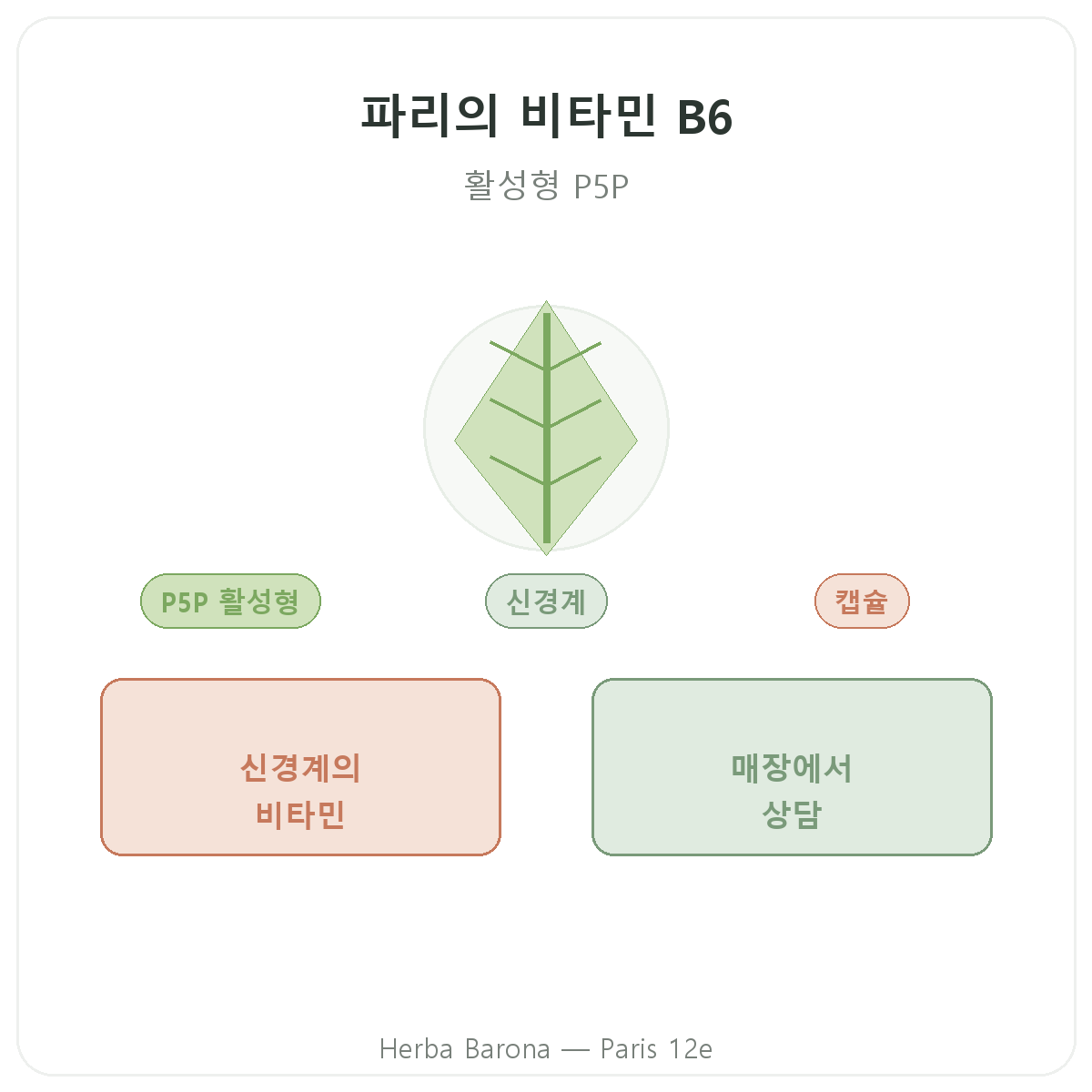 비타민 B6 파리 - 파리 12구 Herba Barona 브랜드 소개