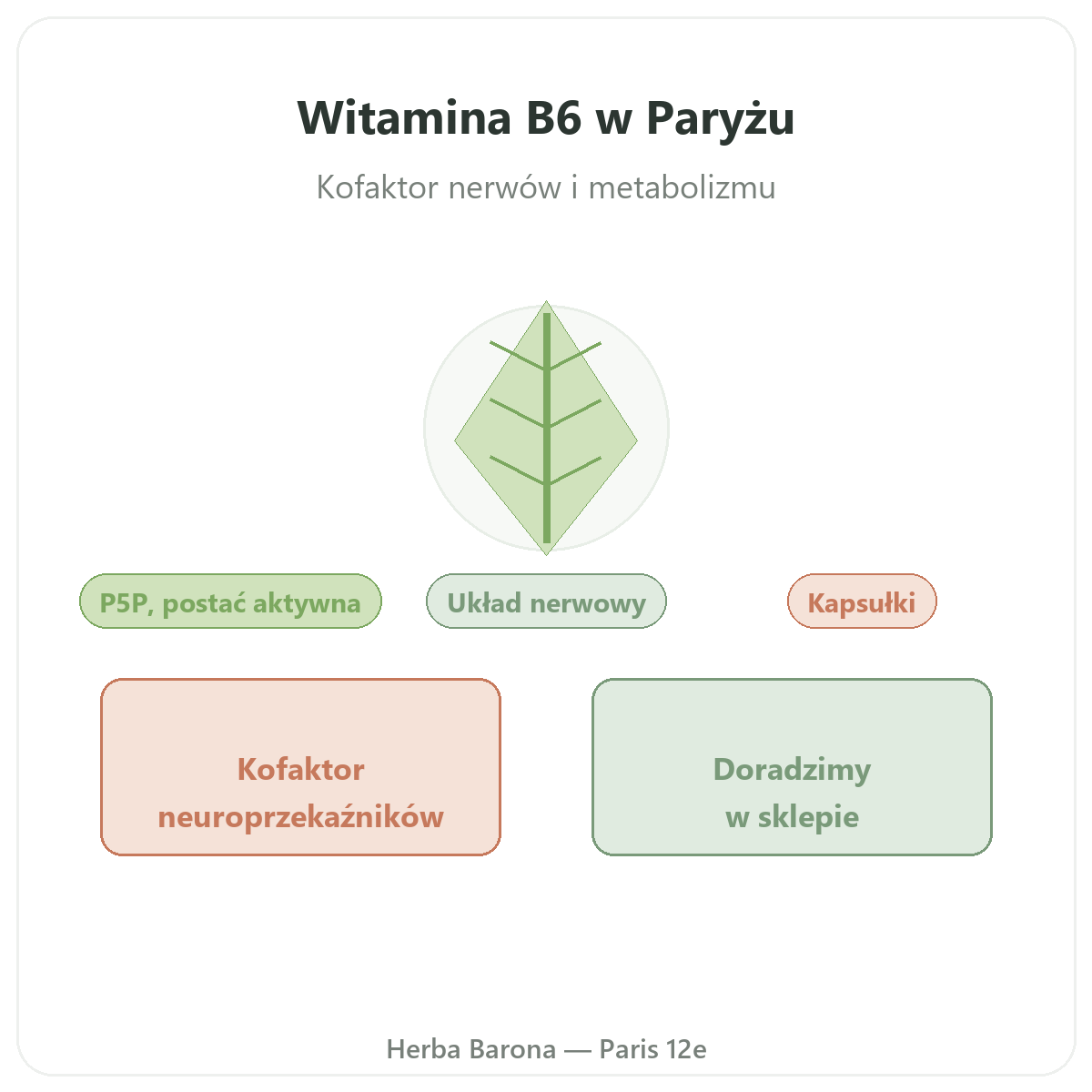 Witamina B6 Paryż - prezentacja marki w Herba Barona Paris 12e
