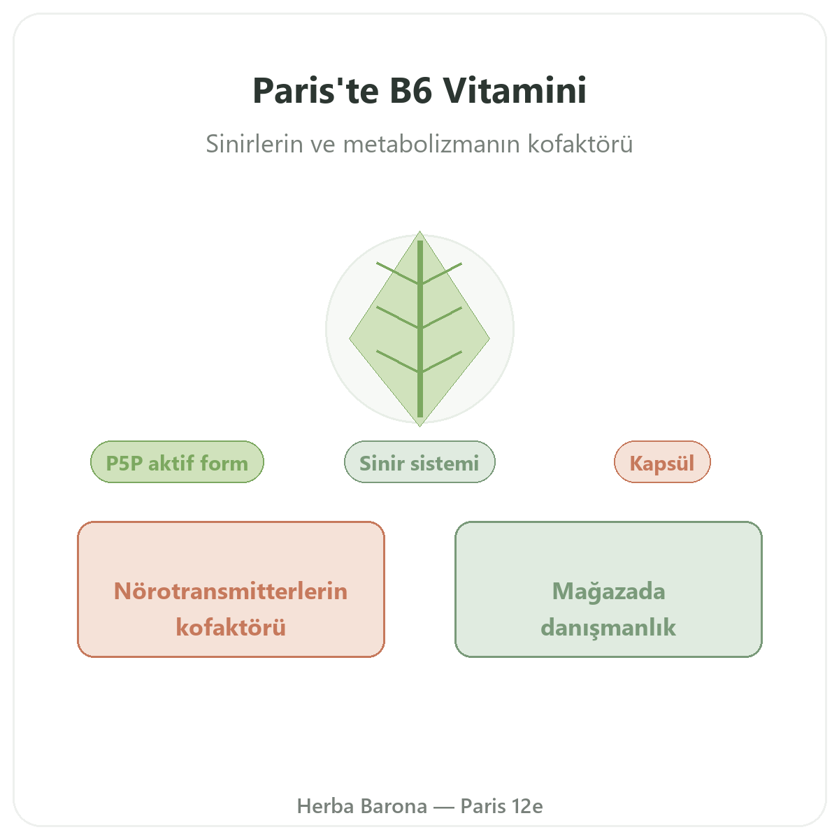 Vitamin B6 Herba Barona Paris tanıtımı