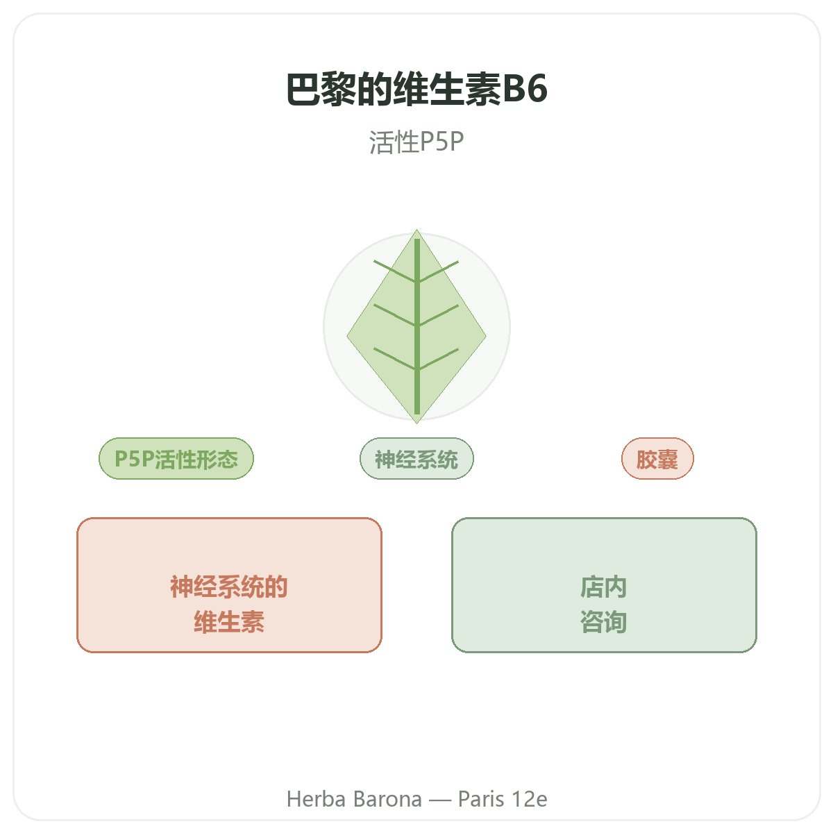 维生素B6 巴黎 - Herba Barona巴黎12区品牌介绍