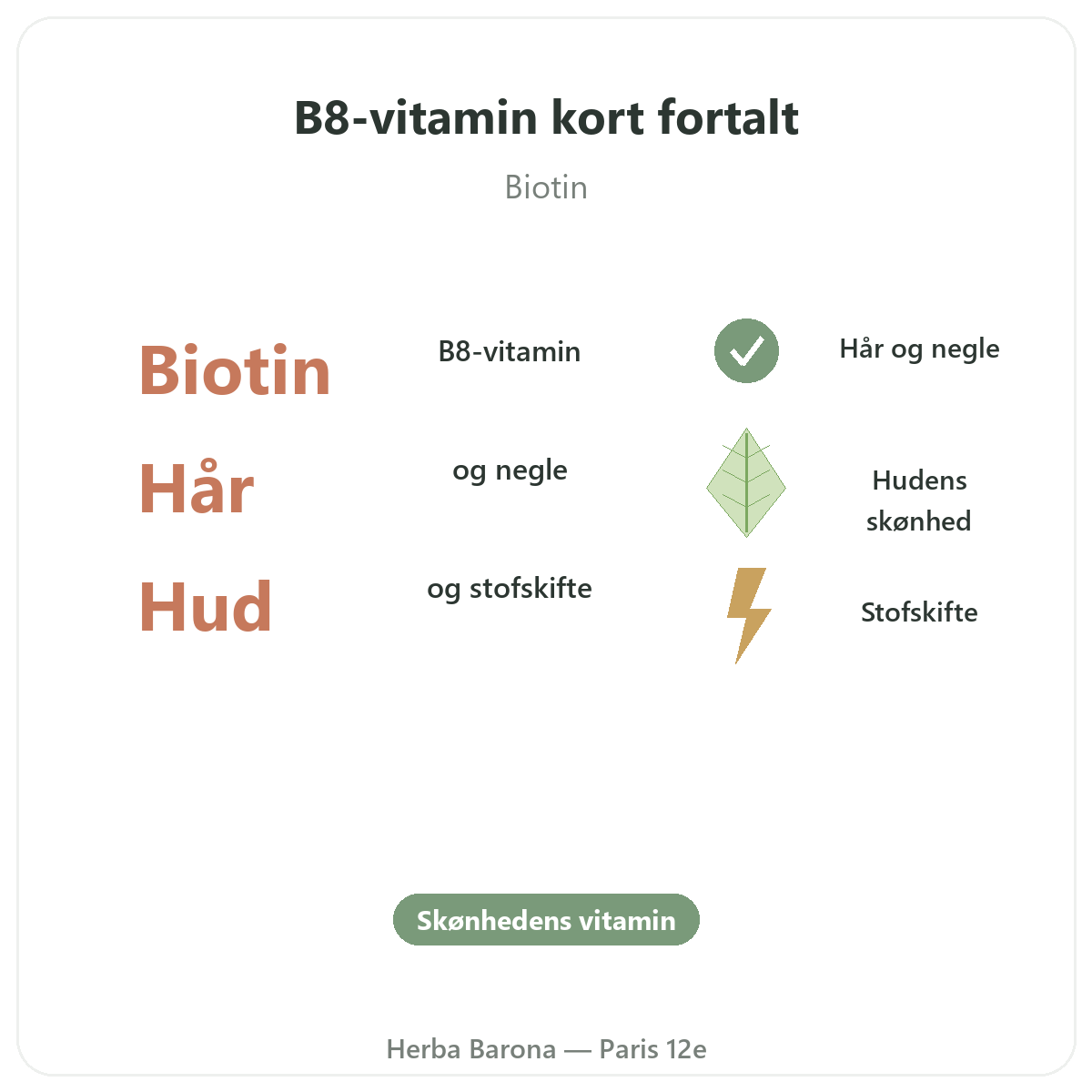 Vitamin B8 Paris Paris i korte træk - nøgletal hos Herba Barona Paris 12